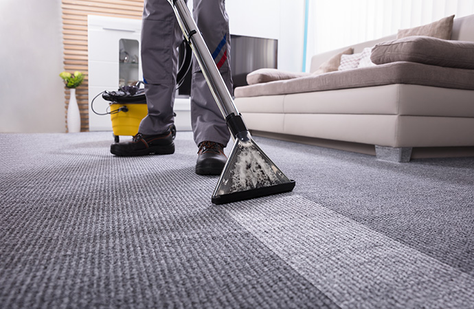What’s Hiding in Your Carpet? You Might Be Surprised to Know