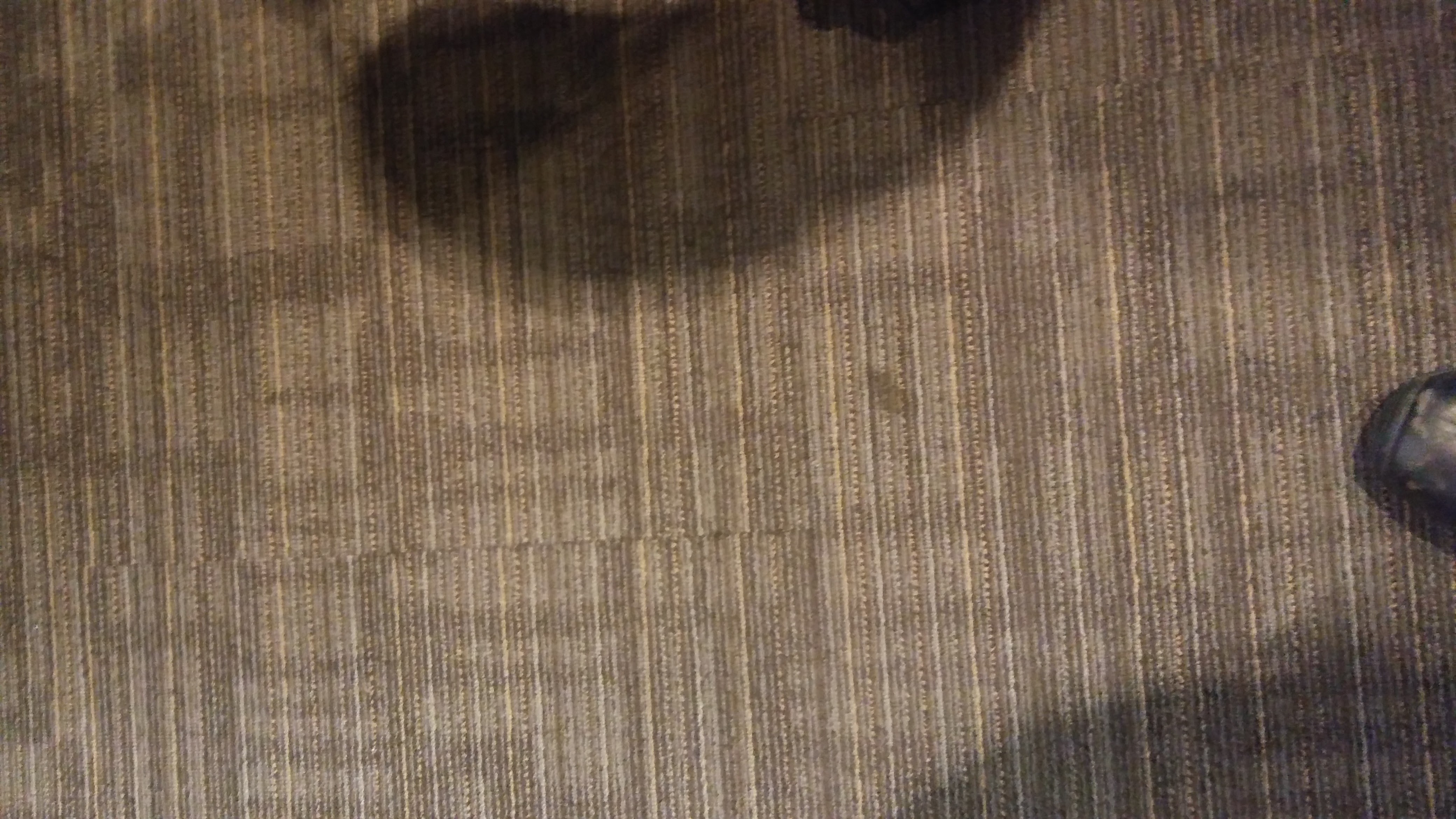 soiled carpet in admin area that was pretreated and steam extracted