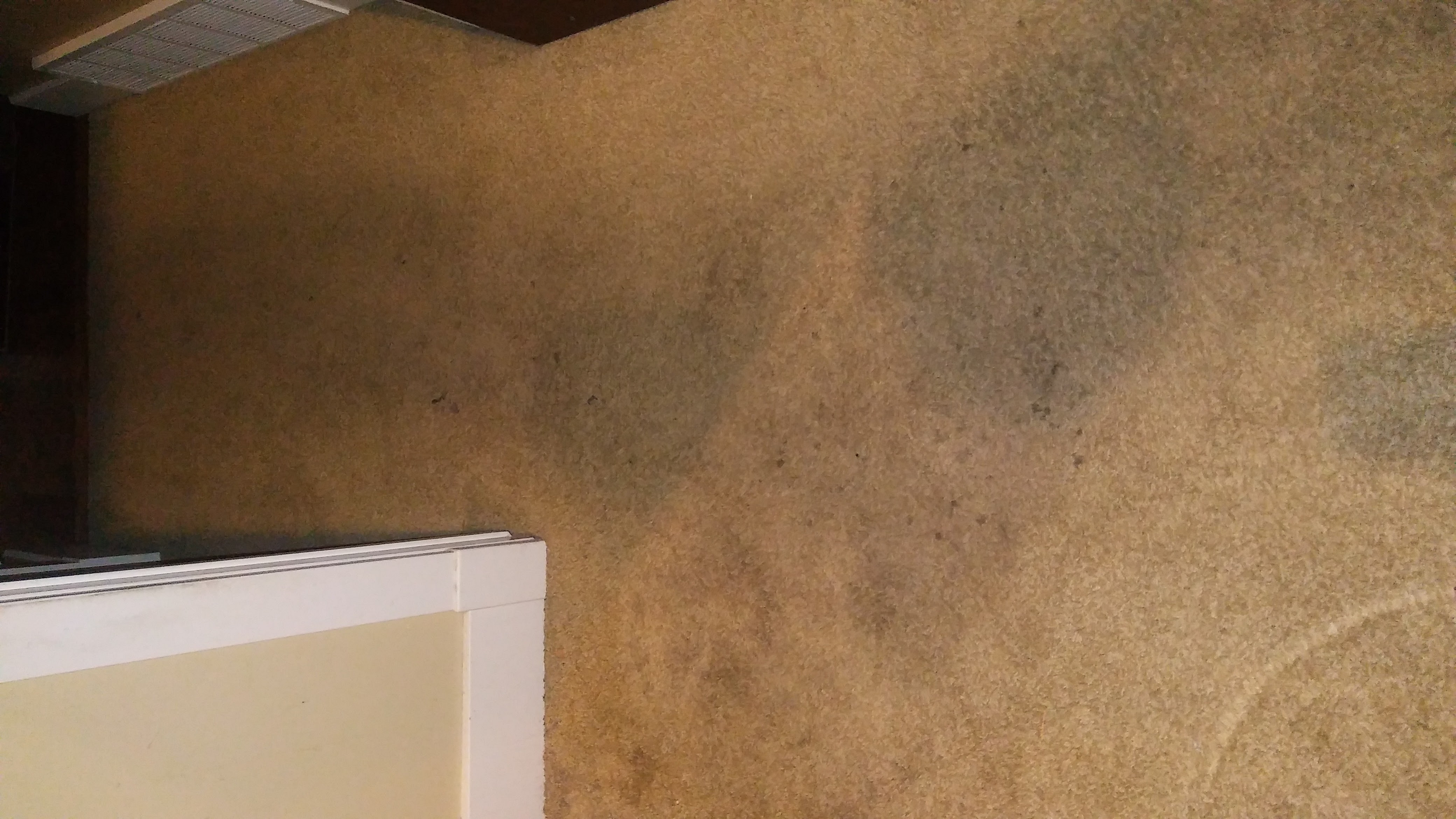 residential carpets very dirty and stained