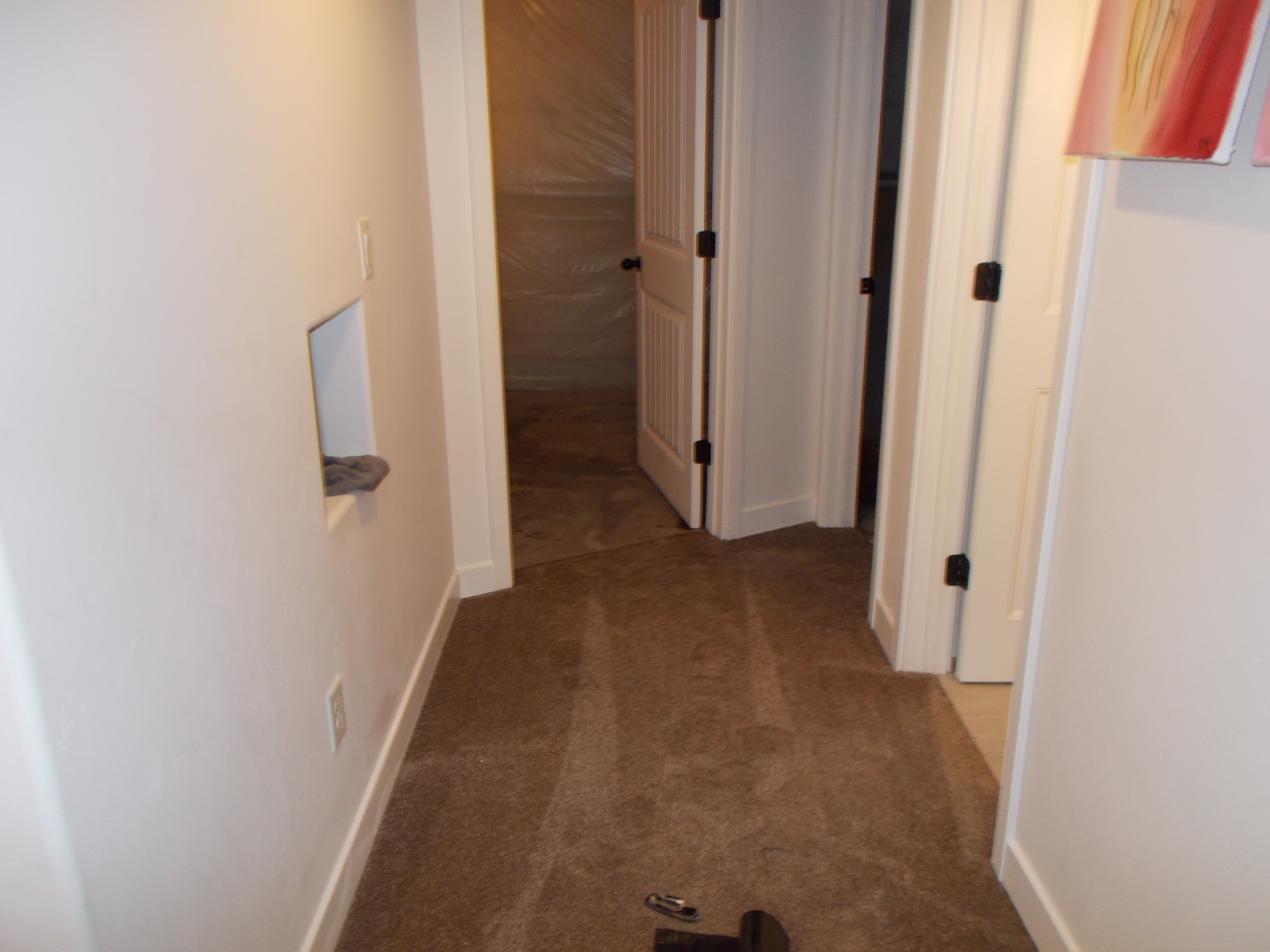 Hallway the customer was concerned about. No moisture or mold was present.