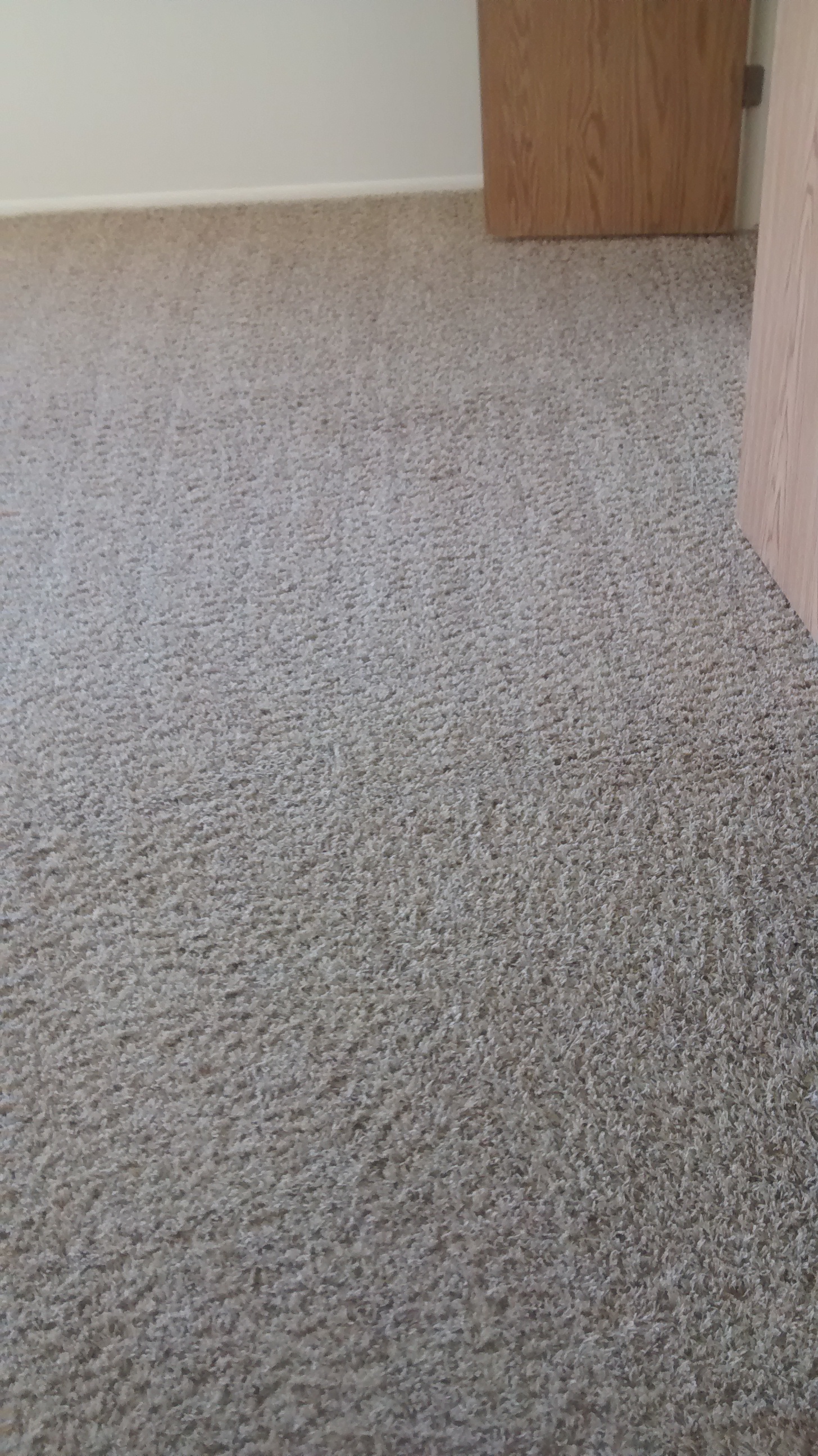 completed hot steam extraction carpet cleaning in a house rental