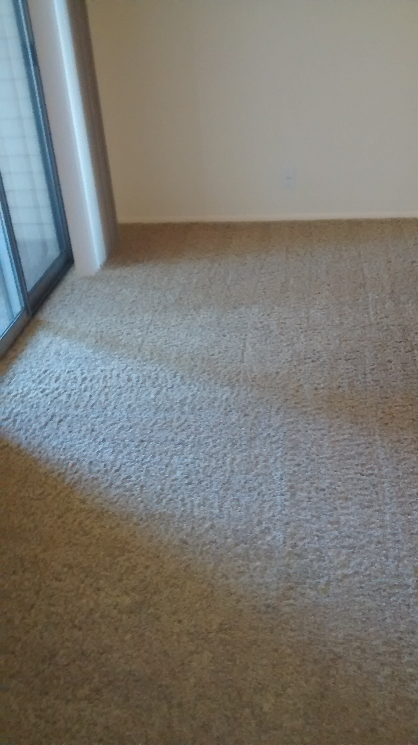 completed hot steam extraction carpet cleaning