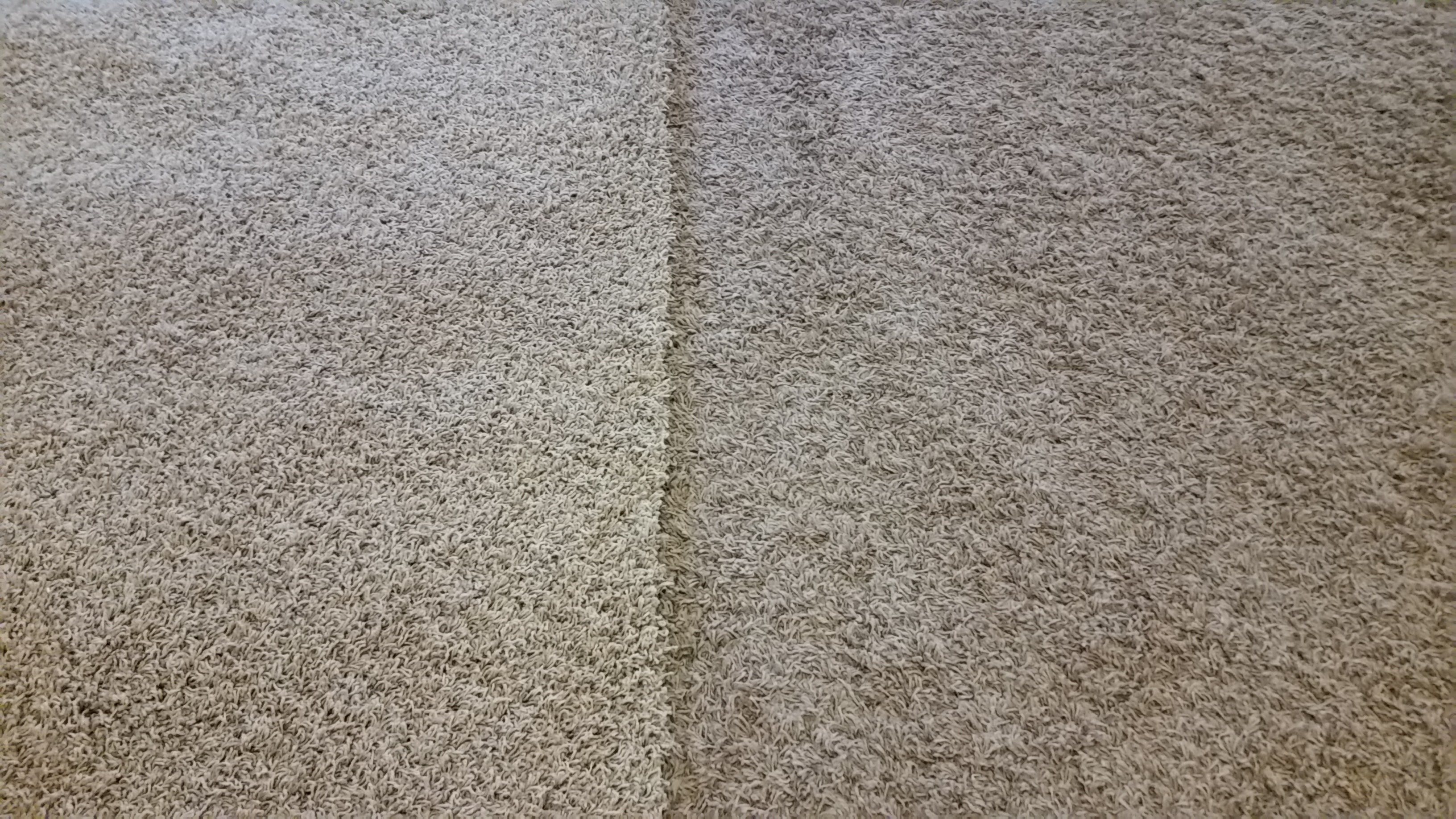 before and after of hot steam extraction carpet cleaning in a house rental