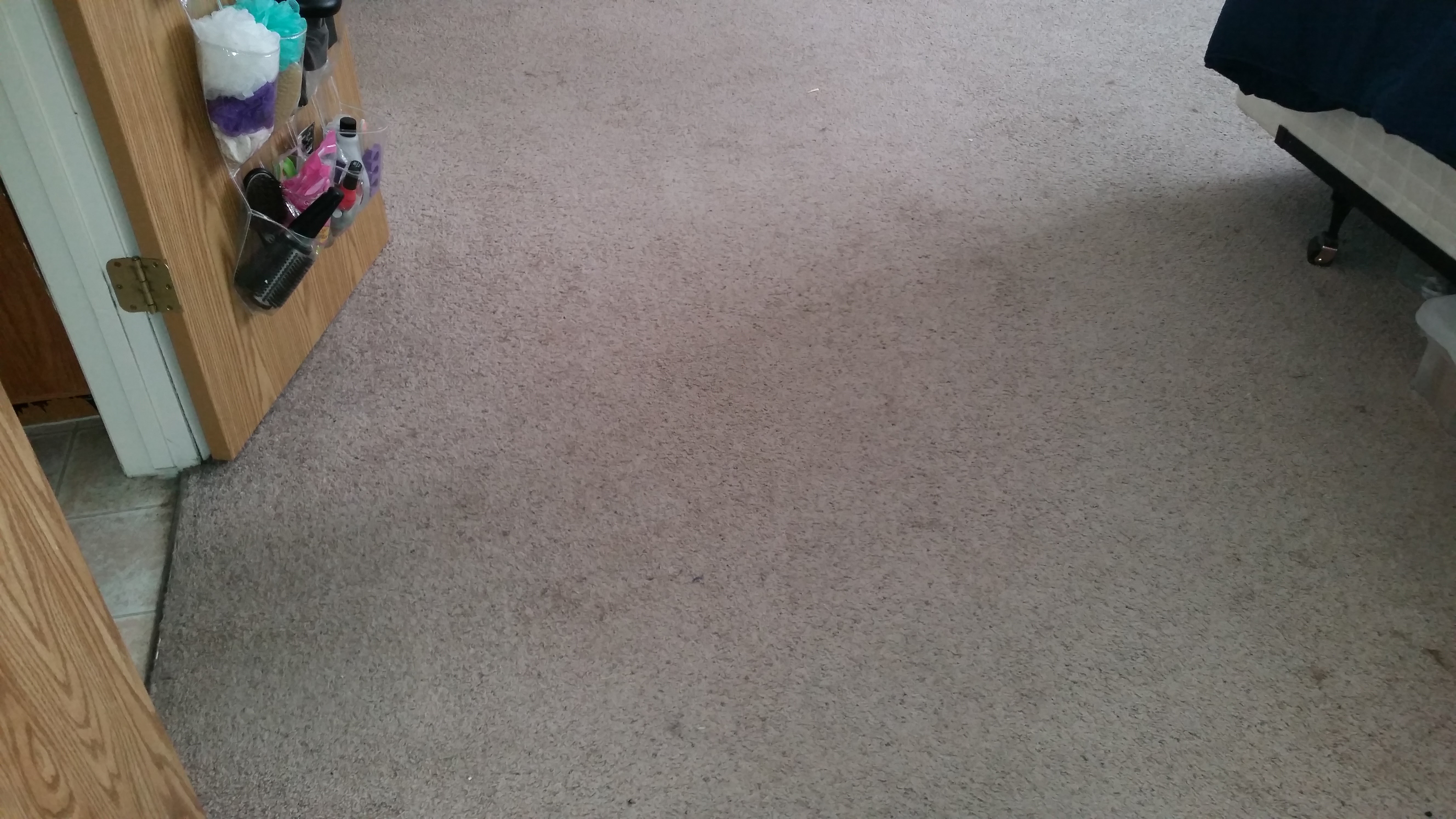 after photo of clean carpets - used hot steam extraction