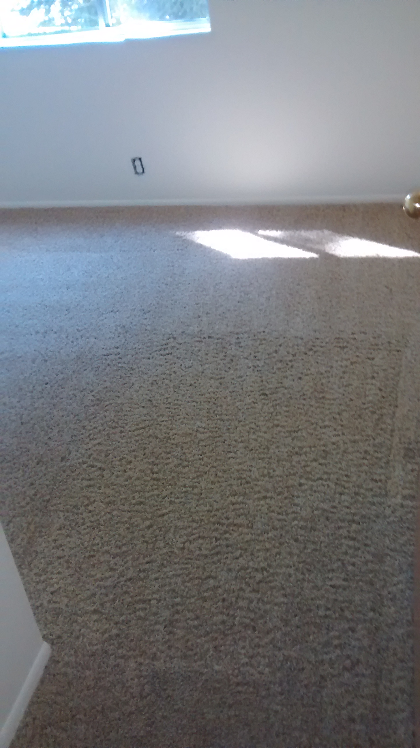 completed hot steam extraction carpet cleaning in a house rental