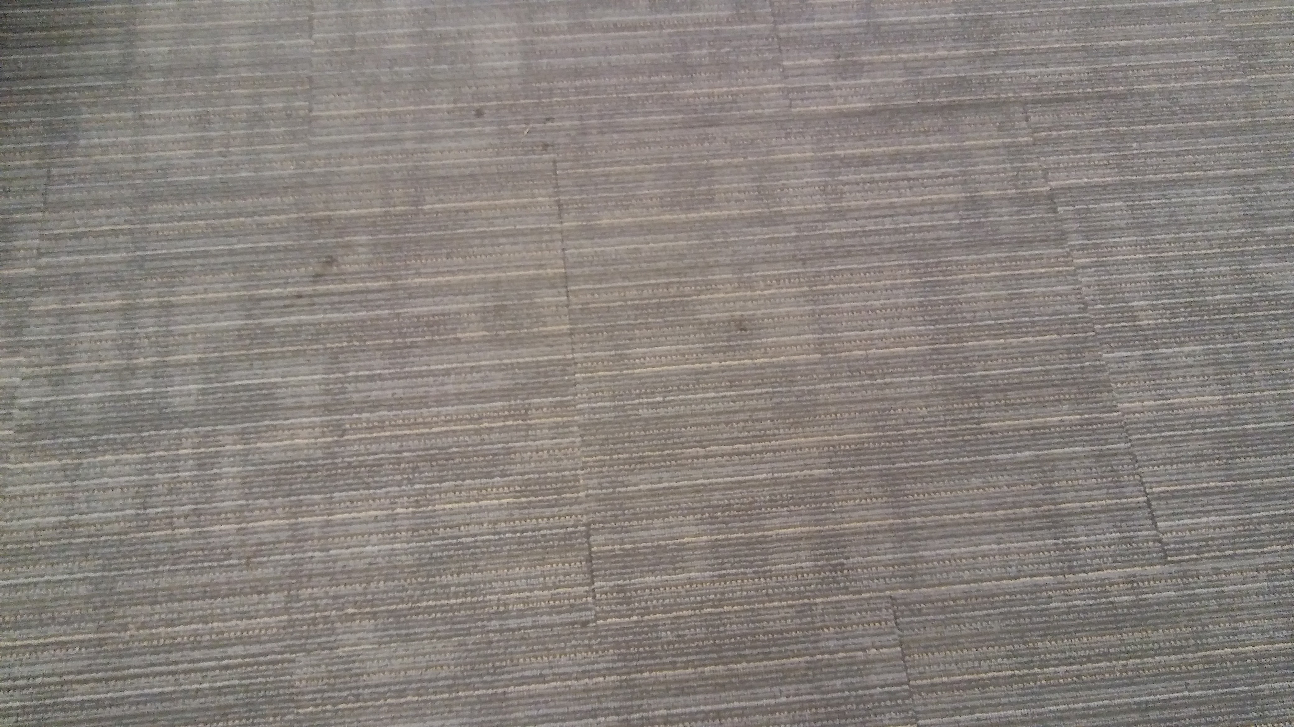 steam extracted carpet with spot remover applied