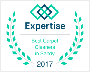 Sandy Best Logo