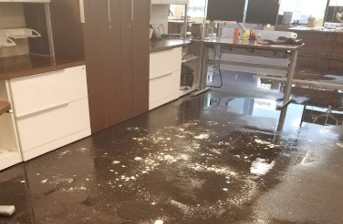 Water Damage Restoration Services in Herriman